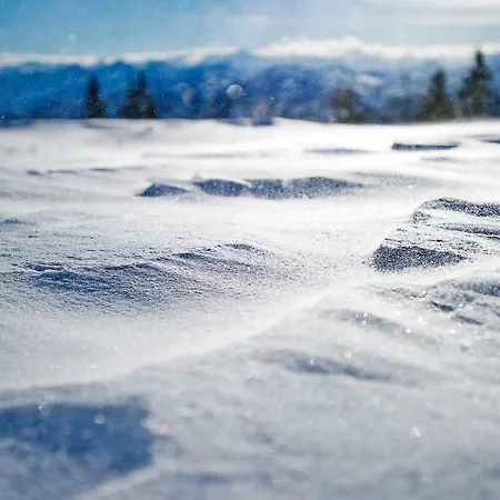 Aschaber וואידרינג