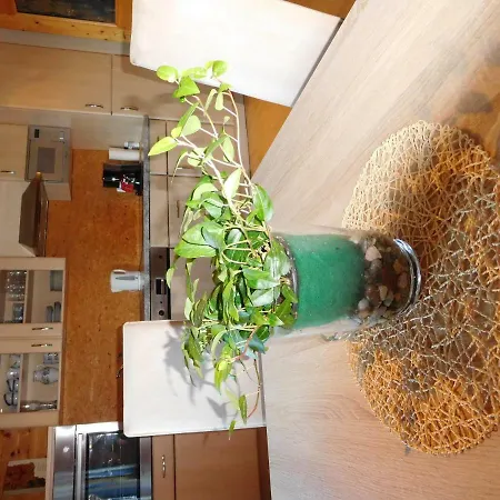 Apartment Aschaber