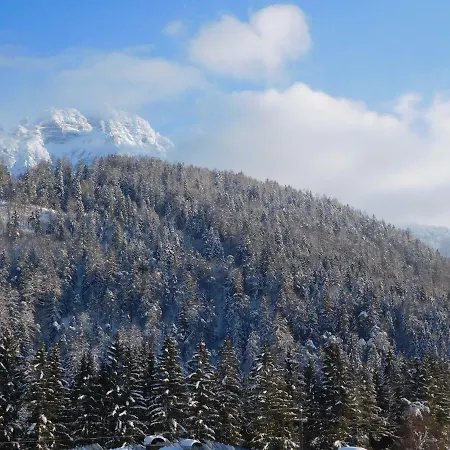 Apartament Aschaber *