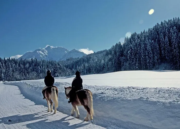 Appartamento Aschaber *