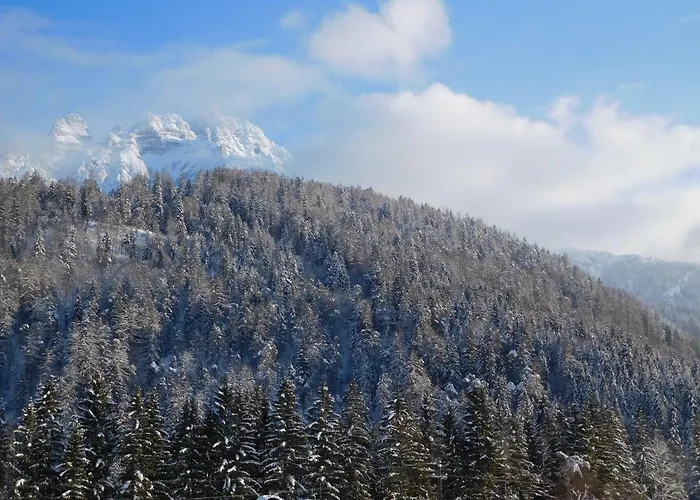 Appartamento Aschaber *