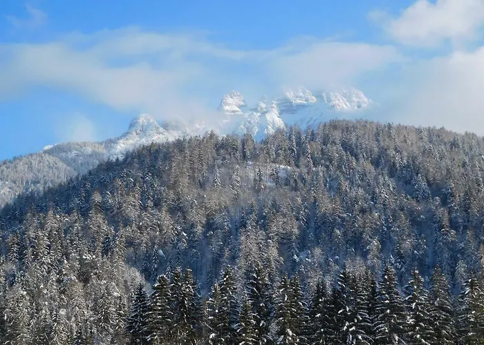 Aschaber Lejlighed *